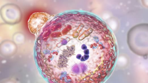 UV-Vis for Life Science Applications