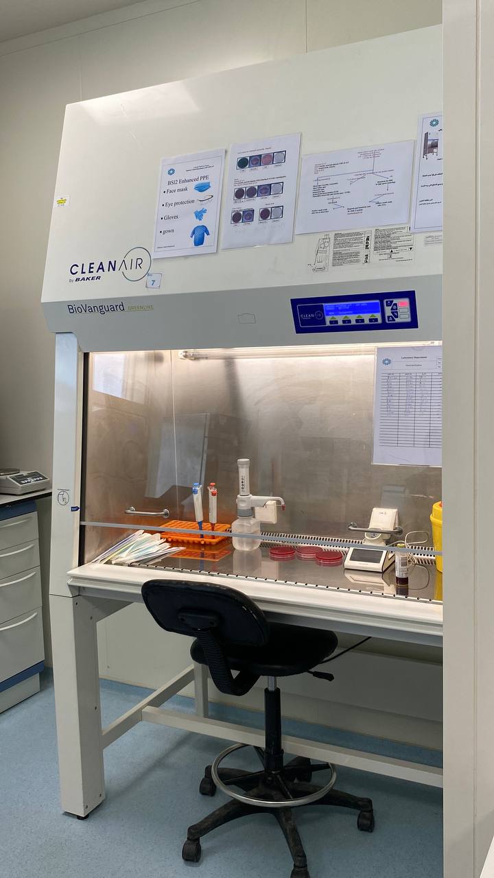 photo_5206343538306650066_y